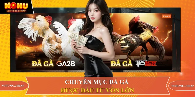 Chuyên mục đá gà được đầu tư vốn lớn